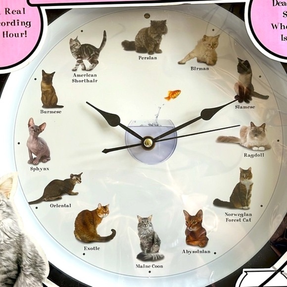 Brand New Meowing Cat Clock Real Cat Recordings Every Hour Popular Breeds Round - Picture 4 of 14